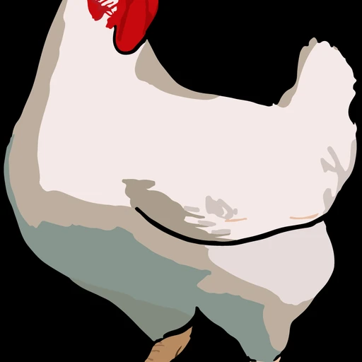 Real photo of a Leghorn chicken